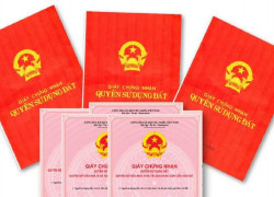 Đất Thổ Cư Là Gì? Phân Loại Đất Thổ Cư