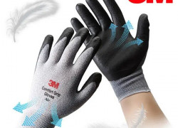 Địa chỉ đại lý 3M tại Đồng Tháp uy tín
