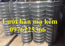 Lưới hàn mạ kẽm 25x25