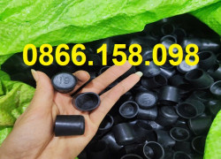 Các loại nắp chụp đầu sắt hộp phi 19 được dùng nhiều nhất