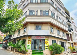Bán CHDV thu nhập cao góc 2 Mặt Tiền Đường Số KDC Tân Quy Đông. Q7