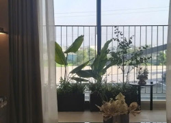 Nhà đầu tư thông minh luôn tìm tài sản "dể vào tiền - dể giữ" tại The Emerald Garden View.