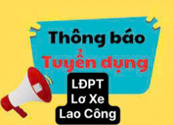 Tuyển LĐPT - Lao Công - Lơ Xe làm tại Bình Tân , đi làm ngay