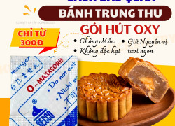 Cách Bảo Quản Bánh Trung Thu Chống Mốc - Tại Sao Nên Chọn Gói Hút Oxy Chống Dầu ?