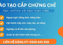 Học chứng chỉ sư phạm, BĐS, xe nâng, máy xúc, du lịch tại Hải Phòng