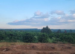 🔥 KÈO THƠM ĐẦU TƯ/CÁ NHÂN -  2.400M2 ĐẤT THỔ CƯ - CƠ HỘI PHÂN LÔ SINH LỜI KHỦNG 🔥