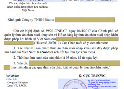 Thủ Tục Nhập Khẩu Thức Ăn Cho Mèo
