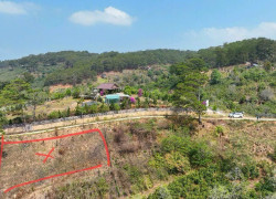 BÁN NHANH LÔ ĐẤT XUÂN TRƯỜNG - CẦU ĐẤT, ĐÀ LẠT - 1000M2 - 2TỶ200TRIỆU