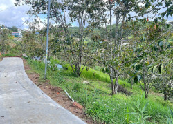 CẦN BÁN GẤP ĐẤT XUÂN THỌ – ĐÀ LẠT