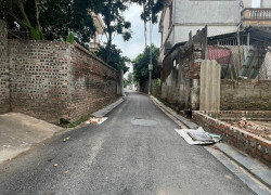 Bán nhà 2 tầng 36m2 Thái Bình , Mai Lâm - Đông Anh. 3,8 tỷ