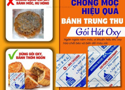 Giải Pháp Ngăn Mốc Bánh Trung Thu Với Công Nghệ Khử Oxygen Chống Dầu