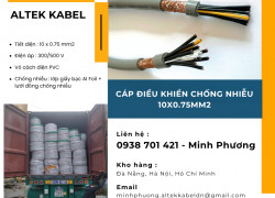 Cáp điều khiển chống nhiễu 10x0.75mm2 dùng cho công trình Huế, Gia Lai, Hà Nội