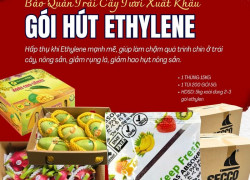 Cung cấp Gói hút Ethylene Secco chống chín trái cây tươi – Giá sỉ tận xưởng