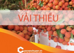 Thủ tục xuất khẩu vải thiều