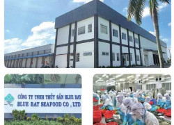 Tuyển NV sales, thu mua, thống kê, vận hành, QC & trưởng phòng SX