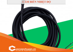 Thủ Tục Nhập Khẩu Cảm Biến Nhiệt Độ