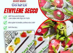 Mua gói hút ethylene chống chín trái cây tươi – Chuyên bảo quản Thanh Long