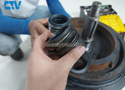 Dịch vụ thay phớt máy bơm đầu rời chuyên nghiệp tại Hà Nội