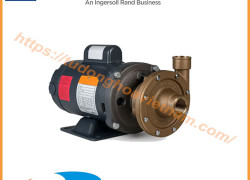 Bơm ly tâm Oberdorfer | Oberdorfer centrifugal pumps