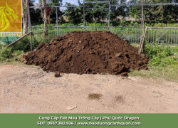 Bán Đất Màu Trồng Cây Giá Rẻ Tại Đồng Nai, TP.HCM