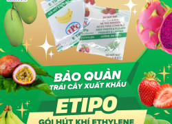 Trái cây đi xa có cần gói hút ethylene?
