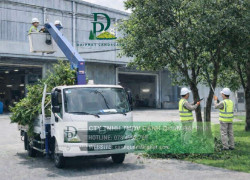Dịch vụ chăm sóc cây xanh cắt cỏ cảnh quan nhà xưởng Đồng Nai chuyên nghiệp