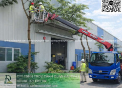 DỊCH VỤ CƯA CÂY – CẮT CỎ KCN TAM PHƯỚC ĐỒNG NAI
