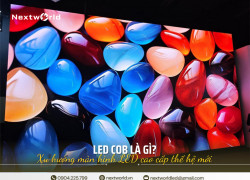 Màn hình LED COB