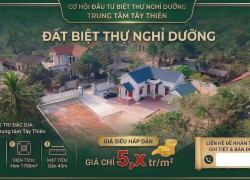 HÀNG HIẾM ĐẠI ĐÌNH TAM ĐẢO – 1.747M² CÓ SẴN BIỆT THỰ KIÊN CỐ