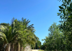 2 lô liền kề hơn 200m² tại Đà Nẵng West Gate Đại Hiệp