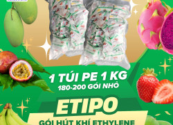 Vì sao container nông sản thường dùng gói hút ẩm?