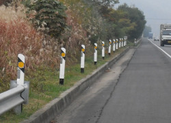 Tiêu Phản Quang Cường Độ Cao Hàn Quốc