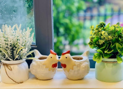 CĂN NHÀ NHỎ XINH GIỮA KHÔNG GIAN XANH VEN ĐÀ LẠT – PHÙ HỢP NGHỈ DƯỠNG & Ở LÂU DÀI
