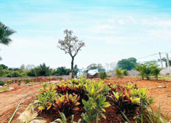 BÁN NHANH GIÁ ĐẦU TƯ 14TR 863M YÊN XUÂN QUỐC OAI SÁT TRỤC CHÍNH VIEW THOÁNG MÁT ĐƯỜNG 3 ÔTÔ