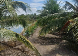 BÁN ĐẤT XÃ BÌNH LỢI - BÌNH CHÁNH, 10.387M2 SẴN 2 SỔ HỒNG CHỈ 2 TỶ/1000M2. LH:0978435476.
