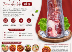 Thịt nạm gàu trâu nhập khẩu – hàng đẹp chất lượng