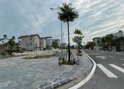 Gấp gấp
