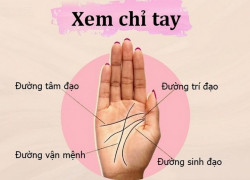 Cách xem chỉ tay sinh đạo đoán được vận mệnh và sức khỏe