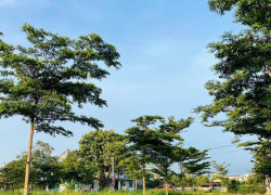 Bán 2 lô liền kề 167m² ngang 8m dài 22m chỉ 1 tỷ 400 triệu còn thương lượng