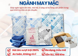 Giải Pháp Chống ẩm Cho Hàng May Mặc Xuất Khẩu Đường Biển