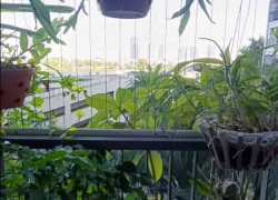 BÁN GẤP NHÀ PHỐ NGỌC TRÌ