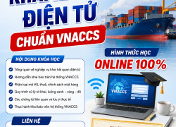 TUYỂN SINH KHÓA HỌC KHAI HẢI QUAN ĐIỆN TỬ CHUẨN VNACCS