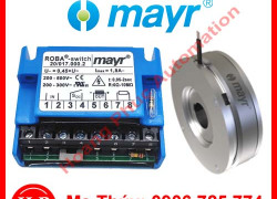 Nhà cung cấp Bộ chỉnh lưu Mayr tại việt nam