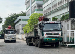 Dịch vụ vận tải máy móc và lắp đặt chuyển nghiệp