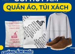 Bảo Vệ Quần Áo Và Túi Xách Xuất Khẩu Với Gói Hút Ẩm Secco