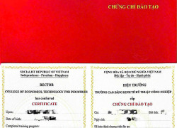 Chứng chỉ Thư viện thiệt bị trường học