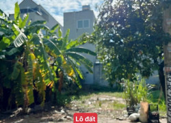BÁN ĐẤT BĂNG 2 KCN THĂNG LONG III – 100M² FULL THỔ CƯ, ĐƯỜNG 16,5M, KINH DOANH ĐỈNH