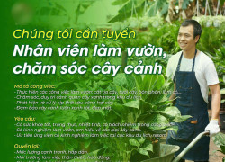 Tuyển NV làm vườn chăm sóc cây cảnh nhà biệt thự ở Thủ Đức