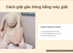 Cách giặt gấu bông bằng máy giặt: Mẹo giữ gấu luôn bền đẹp như mới