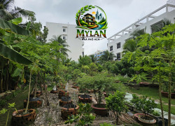 188 Tỷ Bán đất mặt tiền Lê Tấn Bê, vị trí khan hiếm tại khu vực An Lạc, Bình Tân.